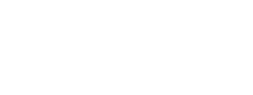 Leading Distribution Partners logo white