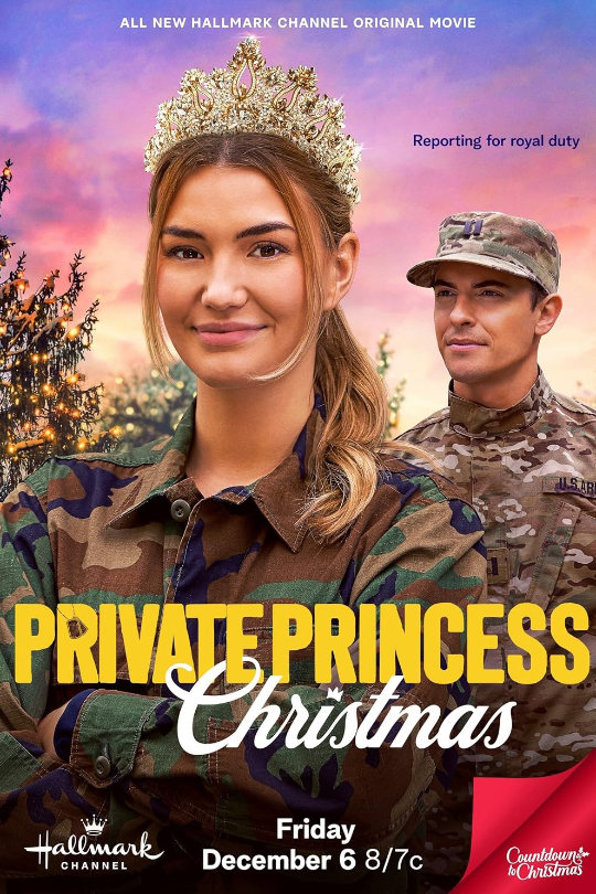 Leading-Distribution-Partners-Private-Princess-Christmas